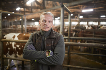Waist up portrait of mature man looking at camera while standing with arms crossed in cow shed at family farm, copy space