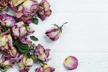 Dried rose buds on wooden surface. Dry rose in aroma concept.