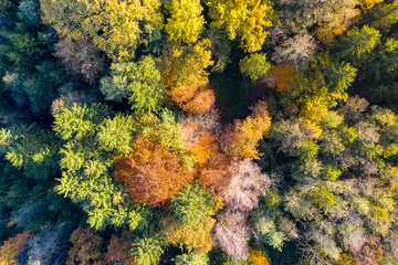Luftaufnahme: Bayrischer Wald im Herbst