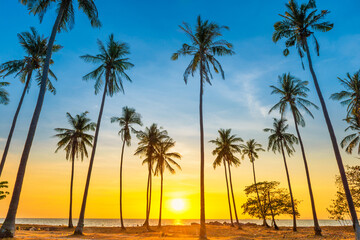 Obraz na płótnie Canvas Sunset with palm trees on beach, landscape of palms on sea island