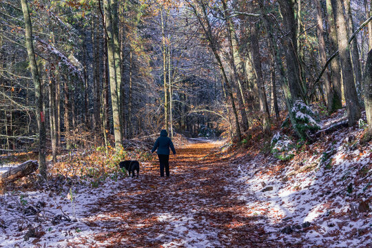 A photograph of a woman walking her black lab on a leash down a hiking path in the woods after a small snowstorm