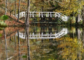 Brücke über Teich im Sachsenwald