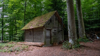 forest cabin in germany,  wangen at öhningen