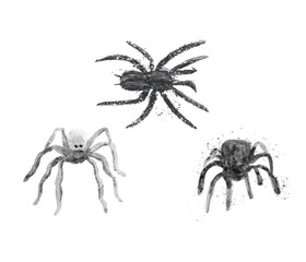 black spiders set, hand drawn illustrations with grunge textures and paint spots