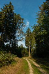 Landschaft im Herbst