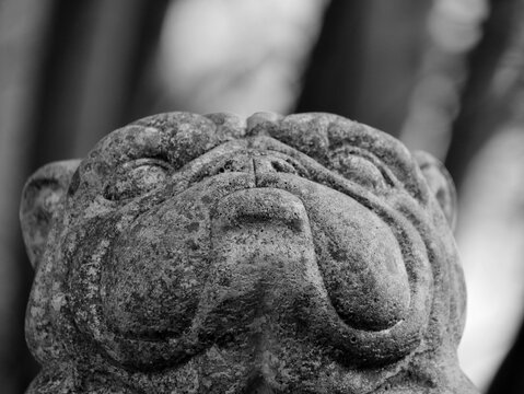 Wachhund aus Stein