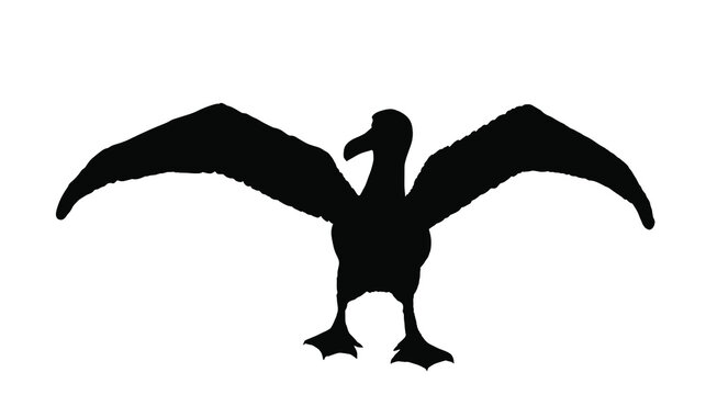 Albatross vector silhouette illustration isolated on white background. Spread wings seagull symbol. Marine big bird silhouette. © dovla982