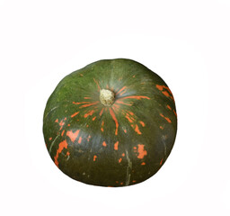 pumpkin isolated on white background