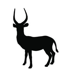 Waterbuck vector silhouette illustration isolated on white background. African deer. Safari hunting trophy.