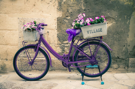 Watercolor drawing of Vintage violet bike bicycle with box of flowers in front of stone wall on narrow stone street in Matera historical centre Sasso Caveoso, Basilicata, Southern Italy