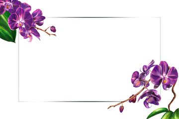 colourful blooming purple orchid frame for wedding card