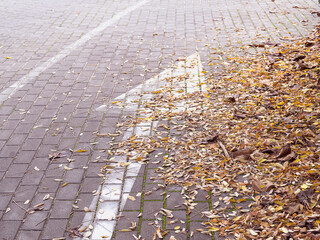 Bicycle route sign on the city road and arrow pointing direction