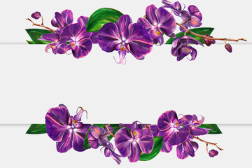 Fototapeta na wymiar colourful blooming purple orchid frame for wedding card