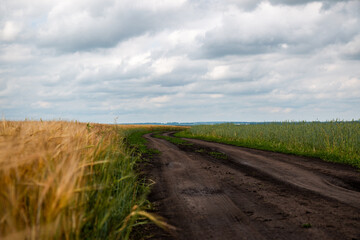 road in the field and clouds