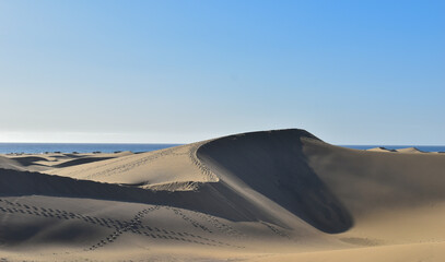 Fototapeta na wymiar Large sand dunes in the desert.