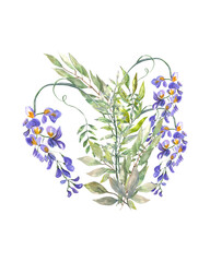 Watercolor illustration. A bouquet of green twigs with leaves and blooming purple wisteria. Watercolor natural image