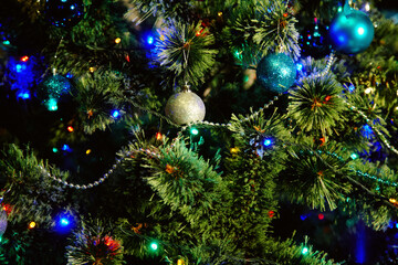 Fototapeta na wymiar Decorated christmas tree. closeup winter background. blue balls hanging on the branches