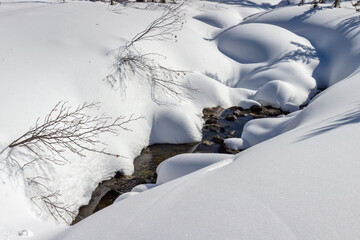 The spring stream flows among pure deep snowdrifts. Melting white snow on the river in springtime