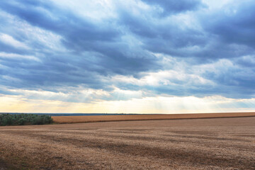 cloudy sky with sun rays over autumn field