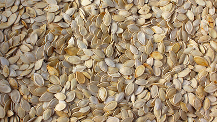 Many pumpkin seeds, background.  Healthy unpeeled seeds and plant foods.