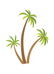 illustration palm tree isolated on white background. Coconut tree. Palm tree. Tourism, travel symbol, sign.