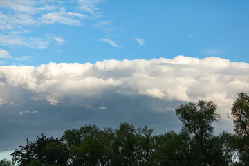 blue sky with white clouds above green trees with blurry background, used as a background or texture, soft focus