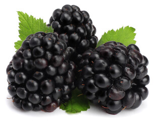 Blackberries isolated on white. Macro.