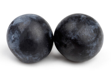 The fruits of blackthorns isolated on white, macro