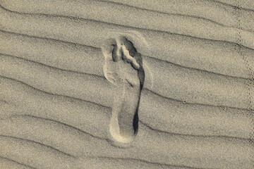 Fototapeta na wymiar Footprints in the arid desert sand.