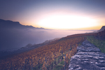 Lac l&eacute;man heure dor&eacute;e.