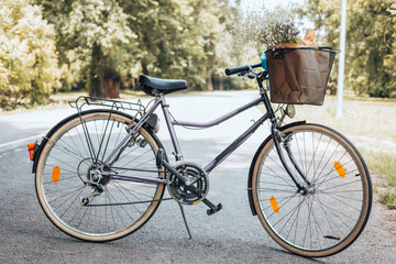 Fototapeta na wymiar Retro bicycle with a basket in nature.