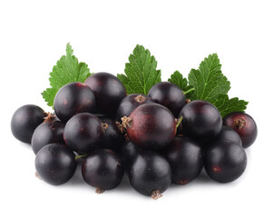 Fototapeta premium Currant berries isolated on white background