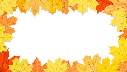 Naklejka na ściany i meble Frame of autumn maple leaves