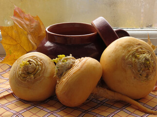 Turnip next to a clay pot on a checkered tablecloth and a white wooden window sill. Autumn trees in the background