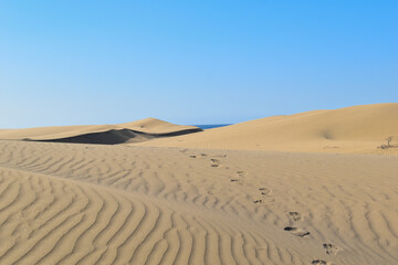 Fototapeta na wymiar Footprints in the desert sand dunes.