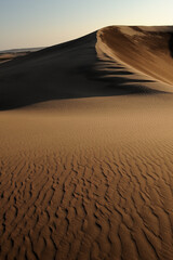 A artistically shaped dune with its own fingerprint in the Namib, the oldest desert on earth