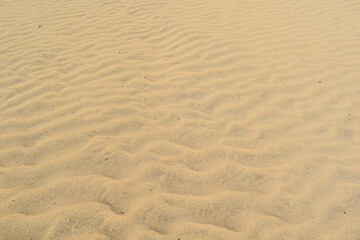 Fototapeta na wymiar Textured orange desert sand background.