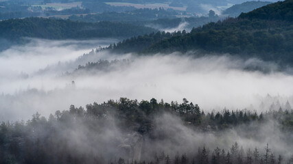 Blick in den Morgenstunden von den Affensteinen über Alten Wildenstein Richtung Lichtenhain. Die Sonne schickt ihre ersten wärmenden Strahlen durch den dichten Nebel in die Bergwelt des Nationalparkes