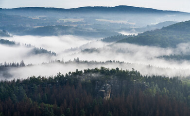 Blick in den Morgenstunden von den Affensteinen zum Alten Wildenstein. Die Sonne schickt ihre ersten wärmenden Strahlen durch den dichten Nebel in die Bergwelt des Nationalparkes Sächsische Schweiz.
