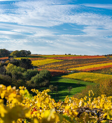 Hiking in the Ahr valley on a sunny autumn day on the red wine trail