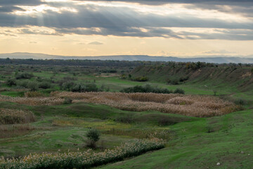 Naklejka premium Road with dark reeds in autumn