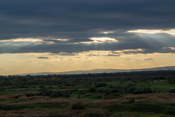 Road with dark reeds in autumn