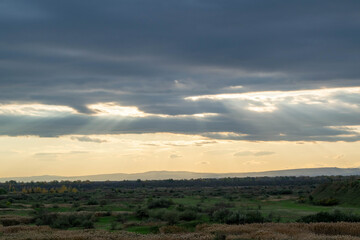 Road with dark reeds in autumn