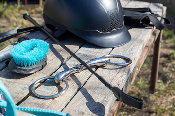Equipment for horse care and riding: brushes of various sizes and purposes, bridle, whip, helmet,...