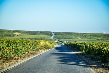 Champagne region in France: Reims, Champillon, Épernay, Châtillon-sur-Marne © Jakub