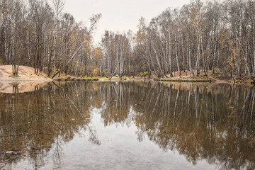 landscape of late autumn at a forest lake
