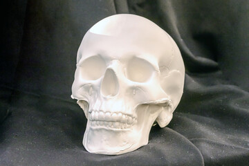 human skull made of plaster on a black background