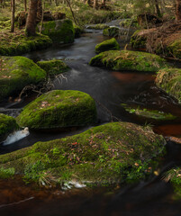 Jezerni creek in autumn color morning with red water and green beautiful stones