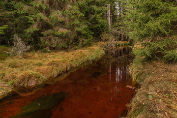 Jezerni creek in autumn color morning with red water and green beautiful forest