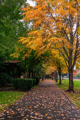Fototapeta premium Snoqualmie WA. - USA: Centennial Path at Northern Pacific Depot
